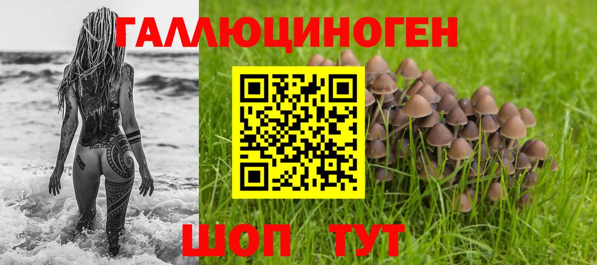 Псилоцибиновые грибы прущие грибы Черногорск